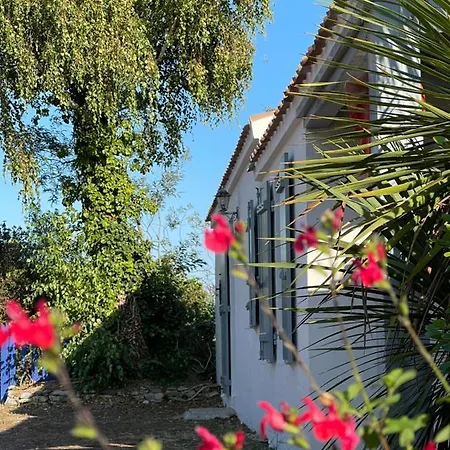 Le Parc Des Mimosas