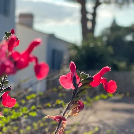 Casa de Férias Le Parc Des Mimosas