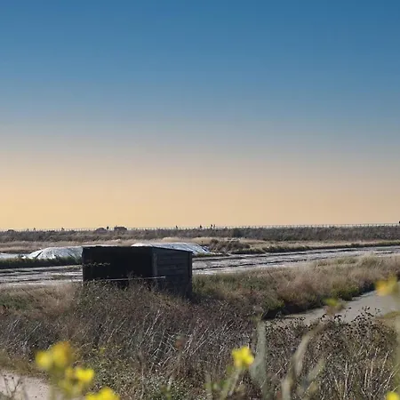 Le Parc Des Mimosas * Noirmoutier-en-l'Ile