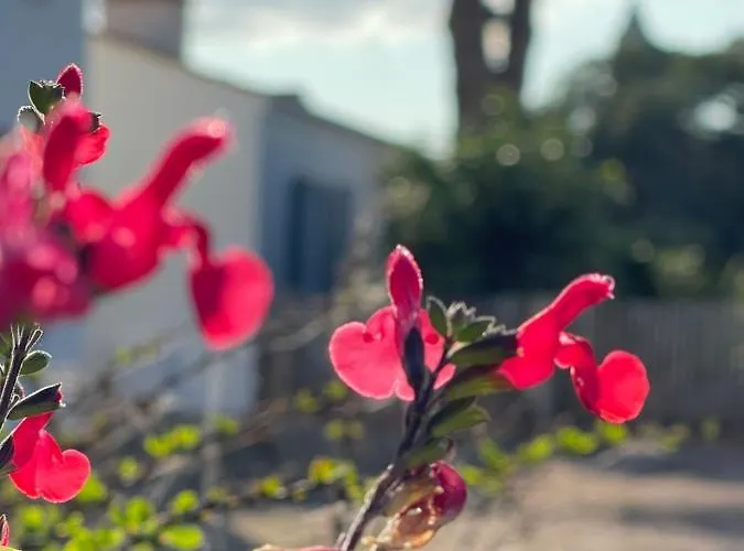 בית נופש Le Parc Des Mimosas