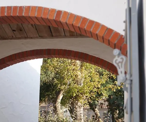 Le Parc Des Mimosas * נוארמוטייה-אן-ליל