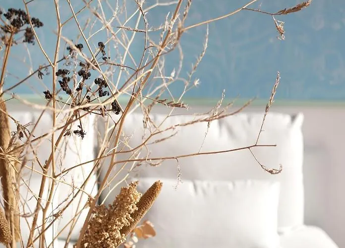 Le Parc Des Mimosas בית נופש