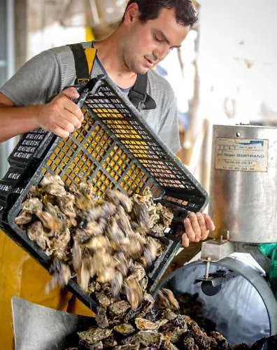 Le Parc Des Mimosas בית נופש *