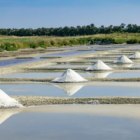 Le Parc Des Mimosas Noirmoutier-en-l'Ile