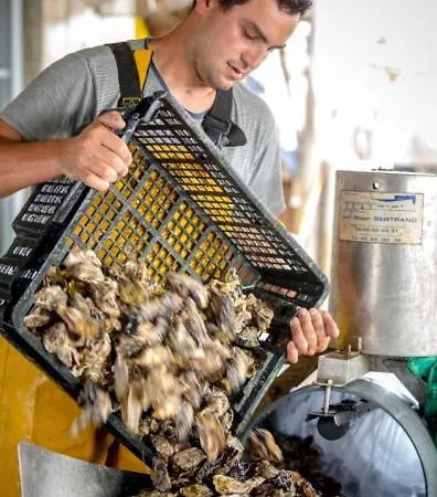 Le Parc Des Mimosas Feriehus *