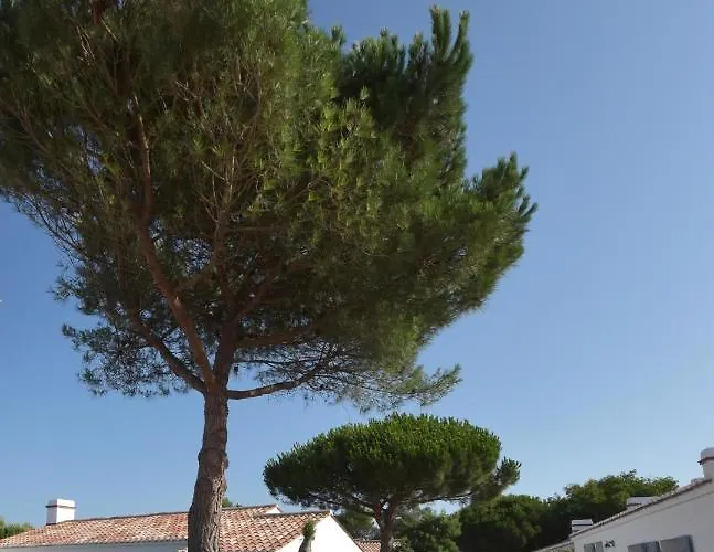 Le Parc Des Mimosas Prázdninový dům