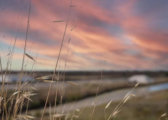 別荘 Le Parc Des Mimosas *