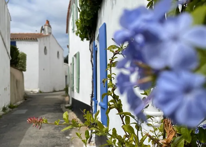 Le Parc Des Mimosas Prázdninový dům