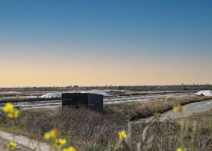 Le Parc Des Mimosas * Noirmoutier-en-l'Ile
