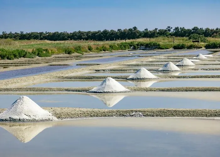 Le Parc Des Mimosas Noirmoutier-en-l'Ile