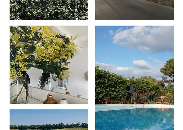 Le Parc Des Mimosas * Noirmoutier-en-l'Ile